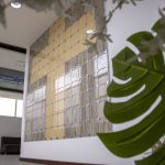 Conoce nuestros cenizarios