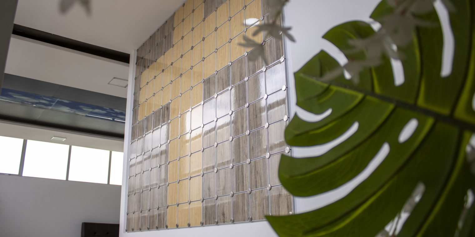 Conoce nuestros cenizarios