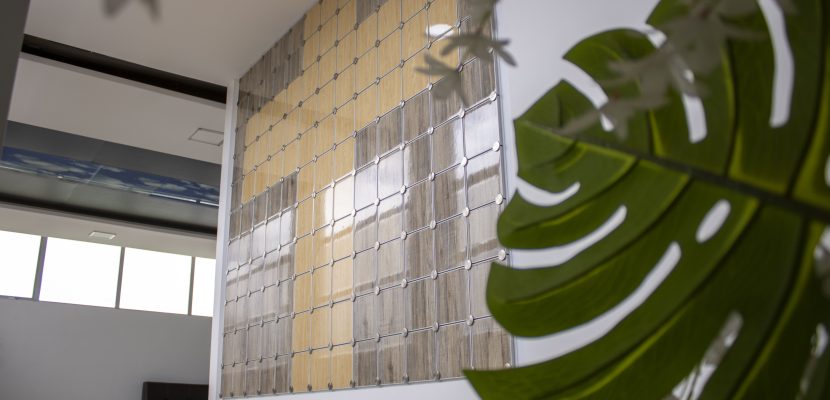 Conoce nuestros cenizarios